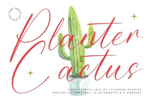 Planter Cactus: A Stylish Script Font