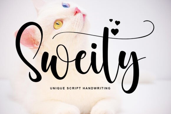 Sweity: A Script Font for Creative Web Design